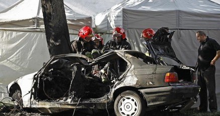 Wycinać przydrożne drzewa? /INTERIA.PL