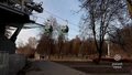 Wycinka drzew w Parku Śląskim. Wszystko przez kolejkę linową