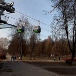 Wycinka drzew w Parku Śląskim. Wszystko przez kolejkę linową