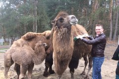 Wyczesane ZOO. Ciekawe atrakcje w Poznaniu