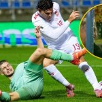 piłkarska reprezentacja Danii