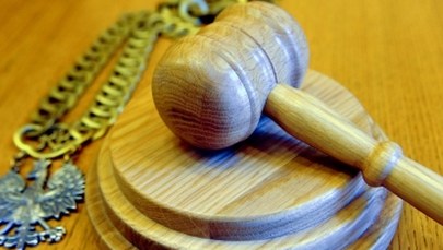 Wydał zgodę na wycięcie 71 drzew. Zapłaci 10 tys. zł grzywny