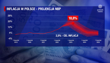 "Wydarzenia": Bardzo słaby złoty. Prognozy NBP nie napawają optymizmem