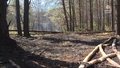 ''Wydarzenia'': Fala pożarów lasów w Polsce. W gaszenie zaangażowani nie tylko strażacy