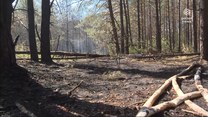''Wydarzenia'': Fala pożarów lasów w Polsce. W gaszenie zaangażowani nie tylko strażacy