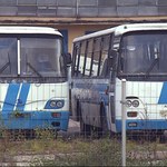 "Wydarzenia": Niemal co czwarta miejscowość w Polsce pozbawiona jest jakiegokolwiek transportu publicznego