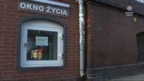 ''Wydarzenia'': Pies we Wrocławskim oknie życia. Towarzystwo Ochrony Zwierząt z apelem