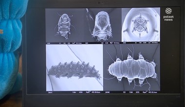''Wydarzenia'': Podobno przeżyje wybuch bomby atomowej. Teraz Polak zabierze go w kosmos