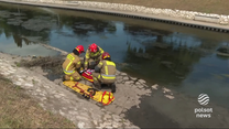 "Wydarzenia": Trzylatek topił się w rzece. Dziecko uratowali strażacy