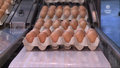 ''Wydarzenia": Wzrost cen energii winduje ceny jajek. Producenci załamują ręce  