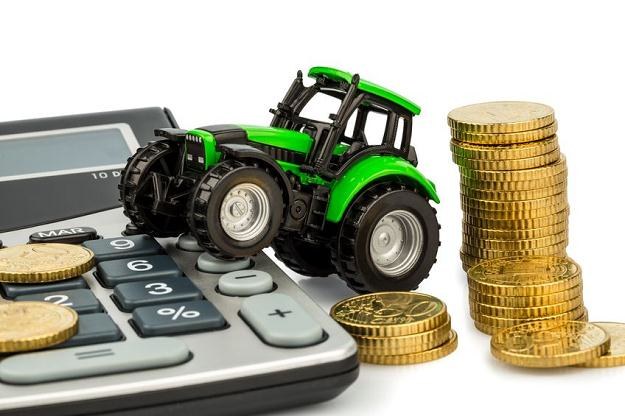 Wydatki na rolnictwo na lata 2014-2020 mogą być o 9 mld zł rocznie niższe niż obecnie /&copy;123RF/PICSEL
