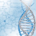 Wydłużanie telomerów sposobem na nieśmiertelność?