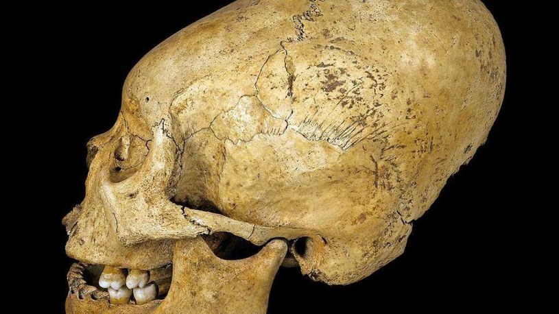 Wydłużone czaszki nie pochodzą od cywilizacji pozaziemskich, a od starożytnych ziemskich cywilizacji /materiały prasowe