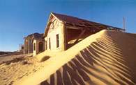 Wydma na pustyni Kalahari, Namibia /Encyklopedia Internautica