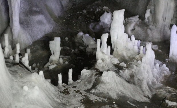 Wydobyli bakterię zamrożoną przez 5 tys. lat. "Istnieje ryzyko"