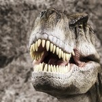 Wydobyli powietrze, sprzed milionów lat. Z zębów dinozaurów