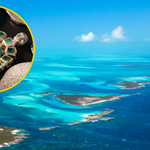 Wydobyto podwodny skarb na Bahamach. W środku 35 kg złota i szmaragdów