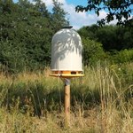 Wydrukowane ule pomogą uratować pszczoły? 