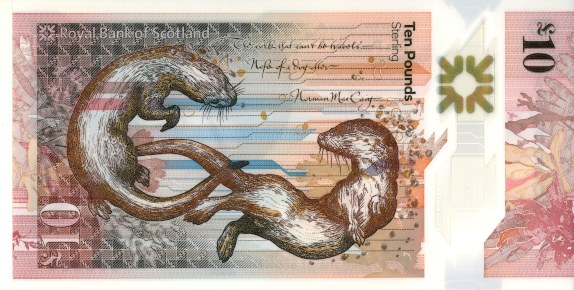 Wydry na szkockim banknocie 10-funtowym /