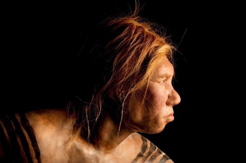 Wygląd neandertalskiej kobiety został zrekonstruowany przez holenderskich artystów Andrie i Alfonsa Kennis /Joe McNally / Getty Images /Getty Images