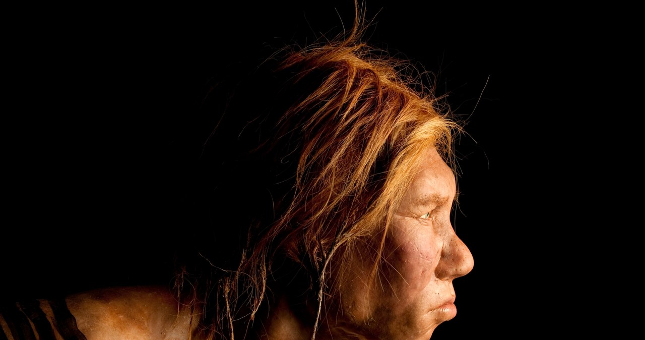 Wygląd neandertalskiej kobiety został zrekonstruowany przez holenderskich artystów Andrie i Alfonsa Kennis /Joe McNally / Getty Images /Getty Images