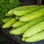 ​Wygląda jak cukinia, smakuje jak melon. Spróbuj, a przekonasz się, że lepszego ogórka nie jadłeś