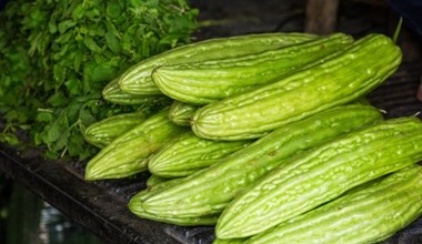 ​Wygląda jak cukinia, smakuje jak melon. Spróbuj, a przekonasz się, że lepszego ogórka nie jadłeś