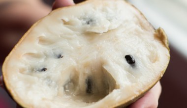 Wygląda jak jabłko, smakuje jak budyń. Przyspiesza przemianę materii i pomaga schudnąć