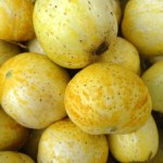 nawadnianie organizmu Wygląda jak połączenie cytryny z cukinią. Działa na organizm jak naturalny kompres