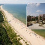 Wyglądają jak gniazda ptaków. Tak ma wyglądać nowy kompleks nad morzem