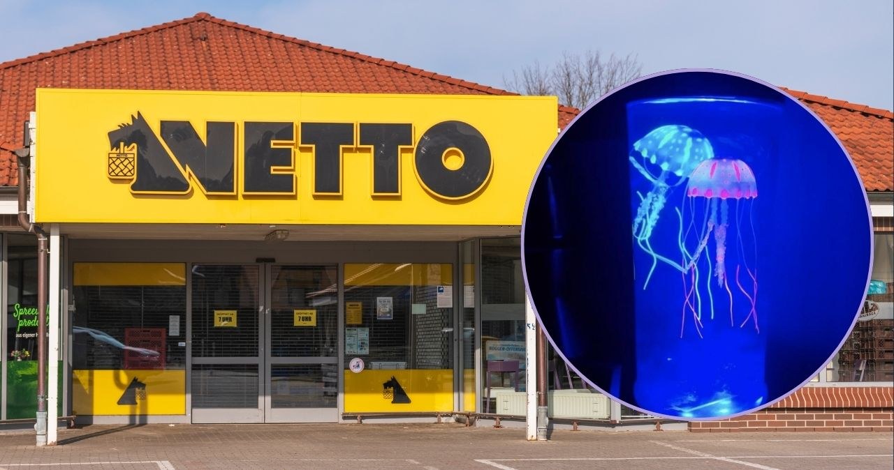 Wyglądają jak z akwarium! Te lampy LED z Netto robią niesamowity klimat /CanvaPro /INTERIA.PL
