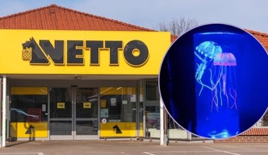 Wyglądają jak z akwarium! Te lampy LED z Netto robią niesamowity klimat
