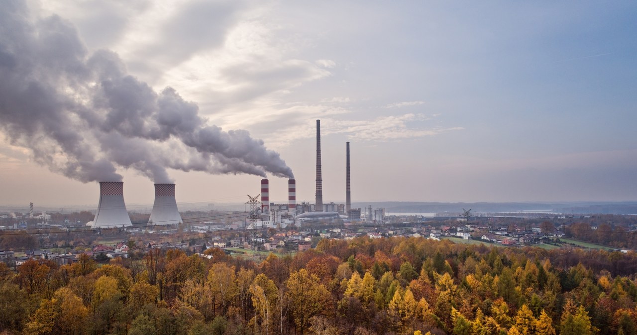 Wygrał sprawę o smog. Otrzyma zadośćuczynienie od Skarbu Państwa