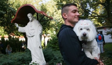 Wyjątkowa msza w Małopolsce. Ksiądz zaprasza psy, koty i inne zwierzęta