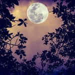 Wyjątkowa Pełnia Księżyca. Co się wydarzy z 30 na 31 sierpnia?