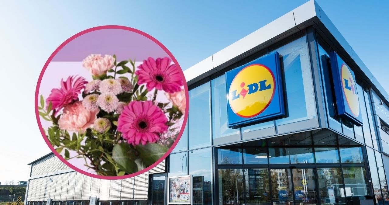Wyjątkowe kwiaty na Dzień Matki tylko w Lidlu! Sprawdź specjalne promocje /adobestock/Lidl /INTERIA.PL