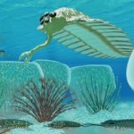 Wyjątkowe skamieniałości z Chin. Okno na życie sprzed 512 mln lat