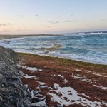 Wyjątkowe zjawisko na plaży. Ciągnie się przez tysiące kilometrów