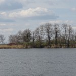 Wyjątkowe znalezisko w jeziorze. Leżały pod wodą od średniowiecza