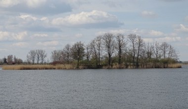 Wyjątkowe znalezisko w jeziorze. Leżały pod wodą od średniowiecza