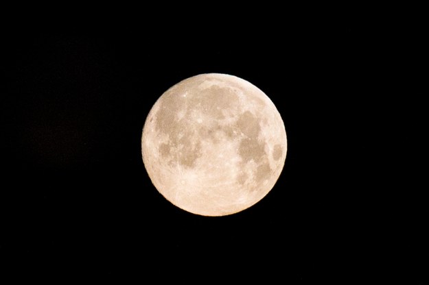 ​Wyjątkowo duży i jasny Księżyc do rana będziemy mogli oglądać na naszym niebie. /DUMITRU DORU /PAP/EPA