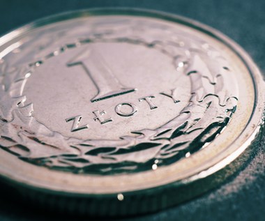 Wyjątkowo mocny złoty. Euro i frank najtańsze od ponad 4 lat