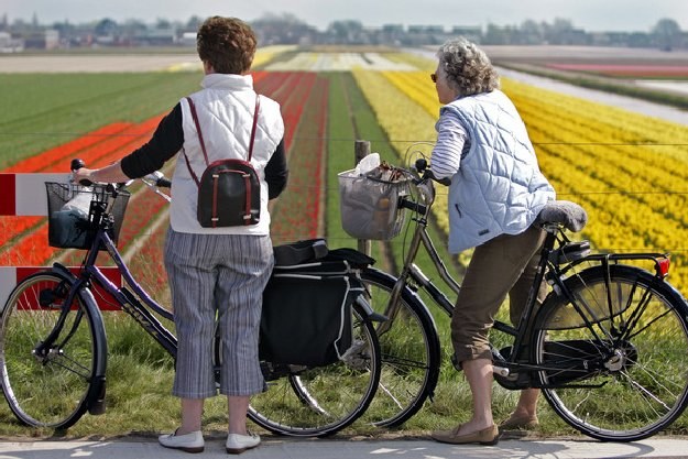 Wyjazdy zarobkowe do Holandii mają charakter sezonowy /AFP
