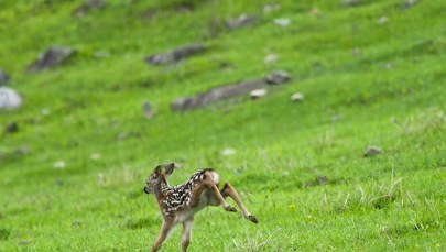 Wyjdźże na pole. Choć przez dwie godziny w tygodniu...