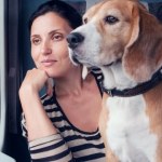 Wyjeżdżasz z psem na majówkę? O tych rzeczach nie zapomnij