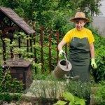 Wyjmij z lodówki i wylej na grządki. Ochroni ogórki, odżywi pomidory