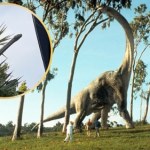 Wyjrzeli przez okno. Myśleli, że to dinozaur, ale prawda była inna