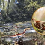 Wykopali dinozaura i przecierali oczy. W kamieniu odcisnęło się coś jeszcze