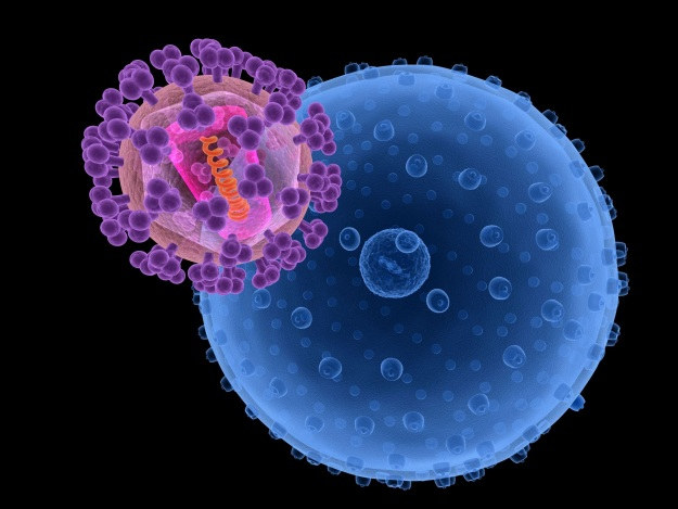 Wykorzystanie wirusa HIV w leczeniu białaczki może być przyszłością onkologii /123RF/PICSEL