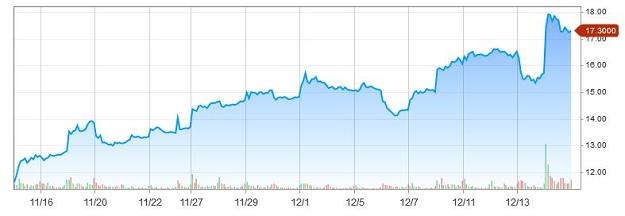Wykres kursu Teva w ostatnim miesiącu na NYSE /Informacja prasowa